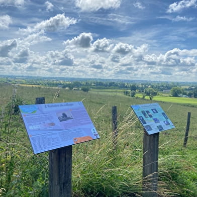 Des merveilles colorées de l'église Saint-Martin à la sérénité du Carmel Saint-Joseph