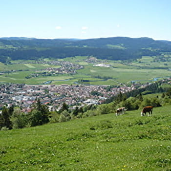 Mont-Vouillot depuis Morteau - MORTEAU