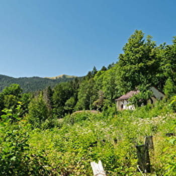 Randonnée pédestre : la pierre à Baptiste - FARGES