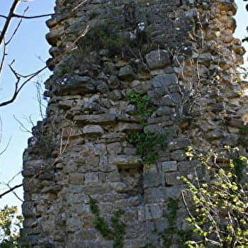 Balade - Ruines du château de Montfort - VAL-REVERMONT