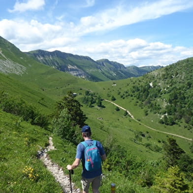 Randonnée pédestre : le Colomby de Gex depuis le Pailly