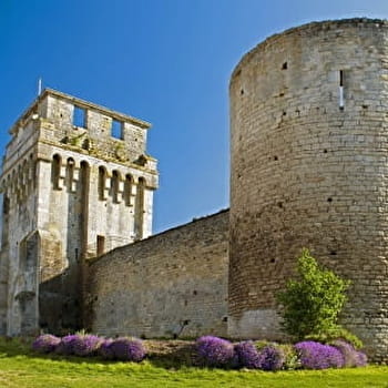 Ferme de Blin - Vallée de la Druyes - DRUYES-LES-BELLES-FONTAINES