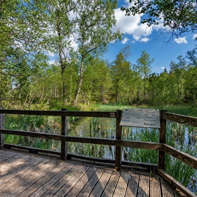 Tourbières de Frasne-Bouverans (Grande boucle - départ Chalet d'accueil)