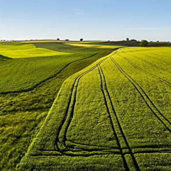 Les Puits Romains - 1V - FAY-EN-MONTAGNE