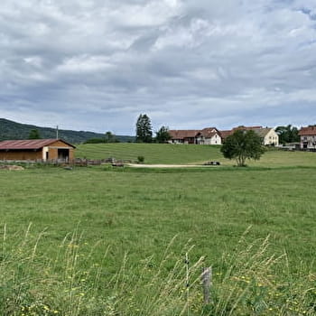 Randonnée - Le circuit de Saint-Sulpice - PLATEAU D'HAUTEVILLE