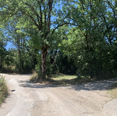 Randonnée - Le sentier du bois de Ban