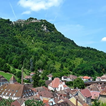 Le Fort Saint-André - MARNOZ