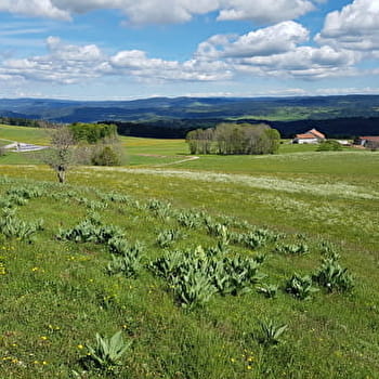 Crêt Monniot - ARC-SOUS-CICON