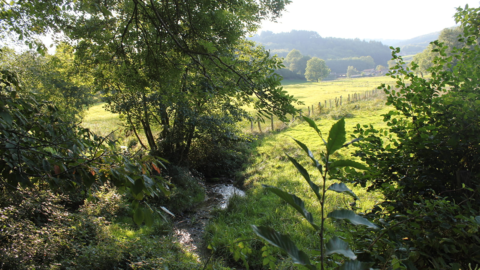 Le Beaujolais - Entre vignes et forêts - Boucle 5.3