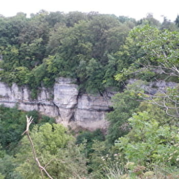 Belvédère du Dard - SANCEY