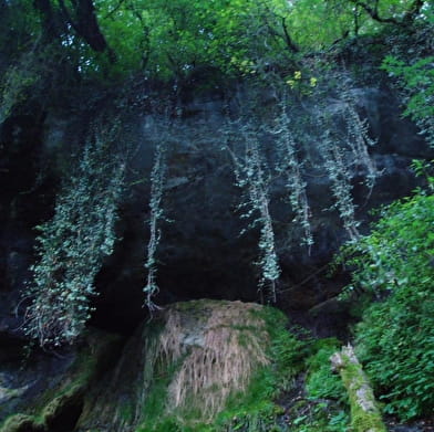Circuit de randonnée du Pont des Tines et des Grottes du Pic