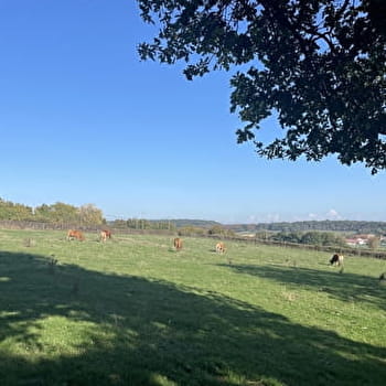 Autour de Champs des Bois - SAINT-MAURICE-DES-CHAMPS