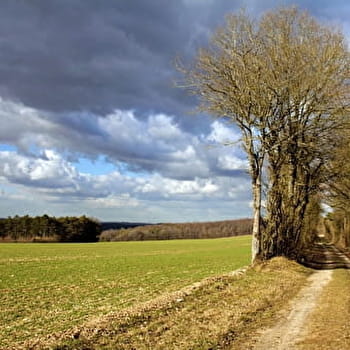 Sentier des puits d'ocre à Diges - DIGES