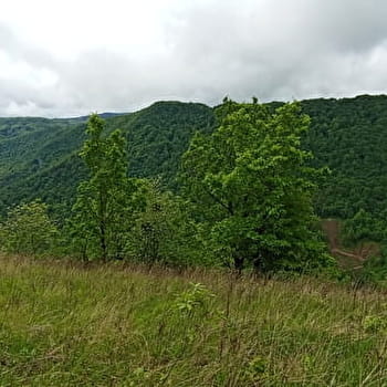 Sentier du tombeau de Gargantua - ECHEVANNES