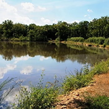 De digues en digues à Champoulet - BRETEAU
