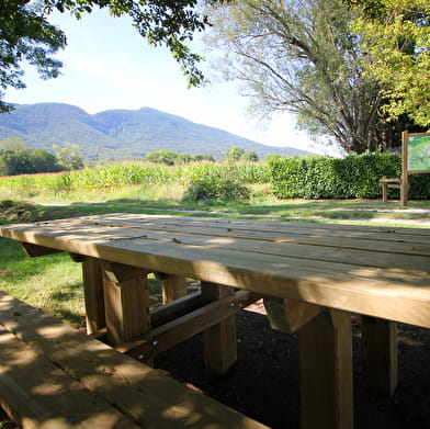 Parcours trail de Contrevoz : circuit rouge 11 km