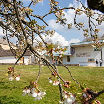L'écomusée du pays de la cerise au moment des cerisiers en fleurs - 