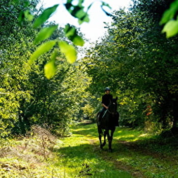Randonnée équestre de la côte dijonnaise - CORCELLES-LES-MONTS