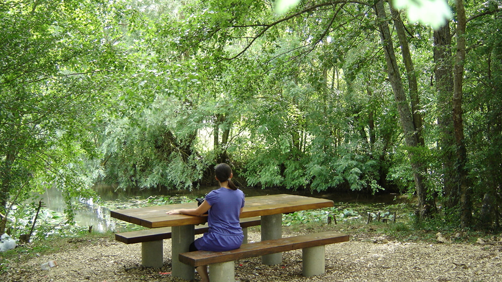 MARCHÉ ET PIQUE-NIQUE À CHARNY-ORÉE-DE-PUISAYE