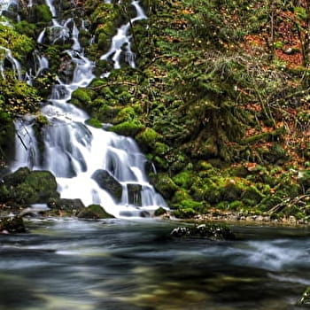 Les Gorges de la Bienne - VTT / VTTAE - HAUTS DE BIENNE