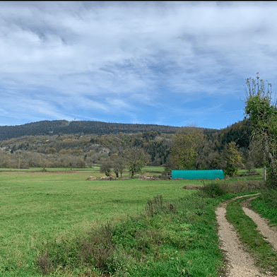 Randonnée - Des Lésines à Planachat