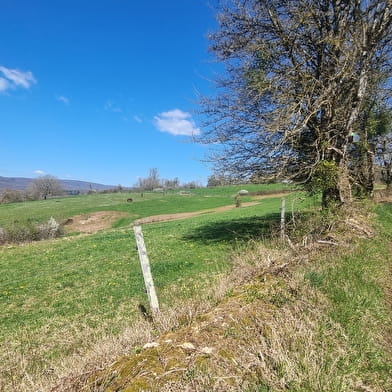 Randonnée - Bohas et la Vallée du Suran