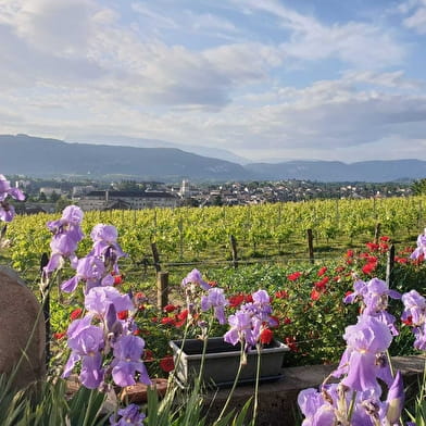 GAEC Maison Fusillet