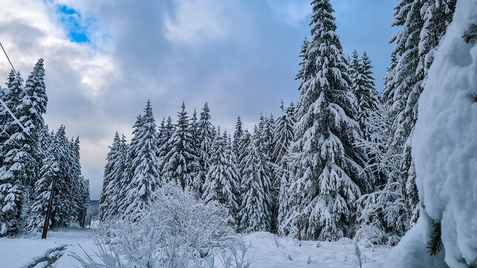 Sentier raquettes : la boucle du Golf