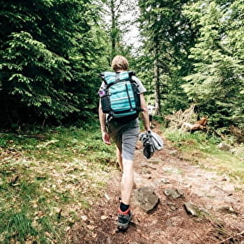 Circuit du Loup de Douvres - DOUVRES