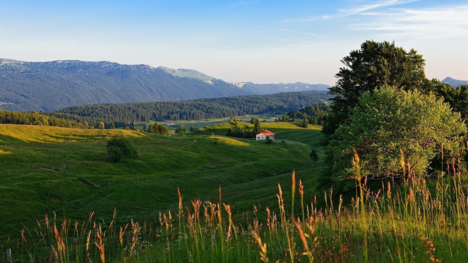 Les Belles Combes - 17N
