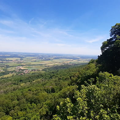 Dame Blanche et Vieux Tilleul