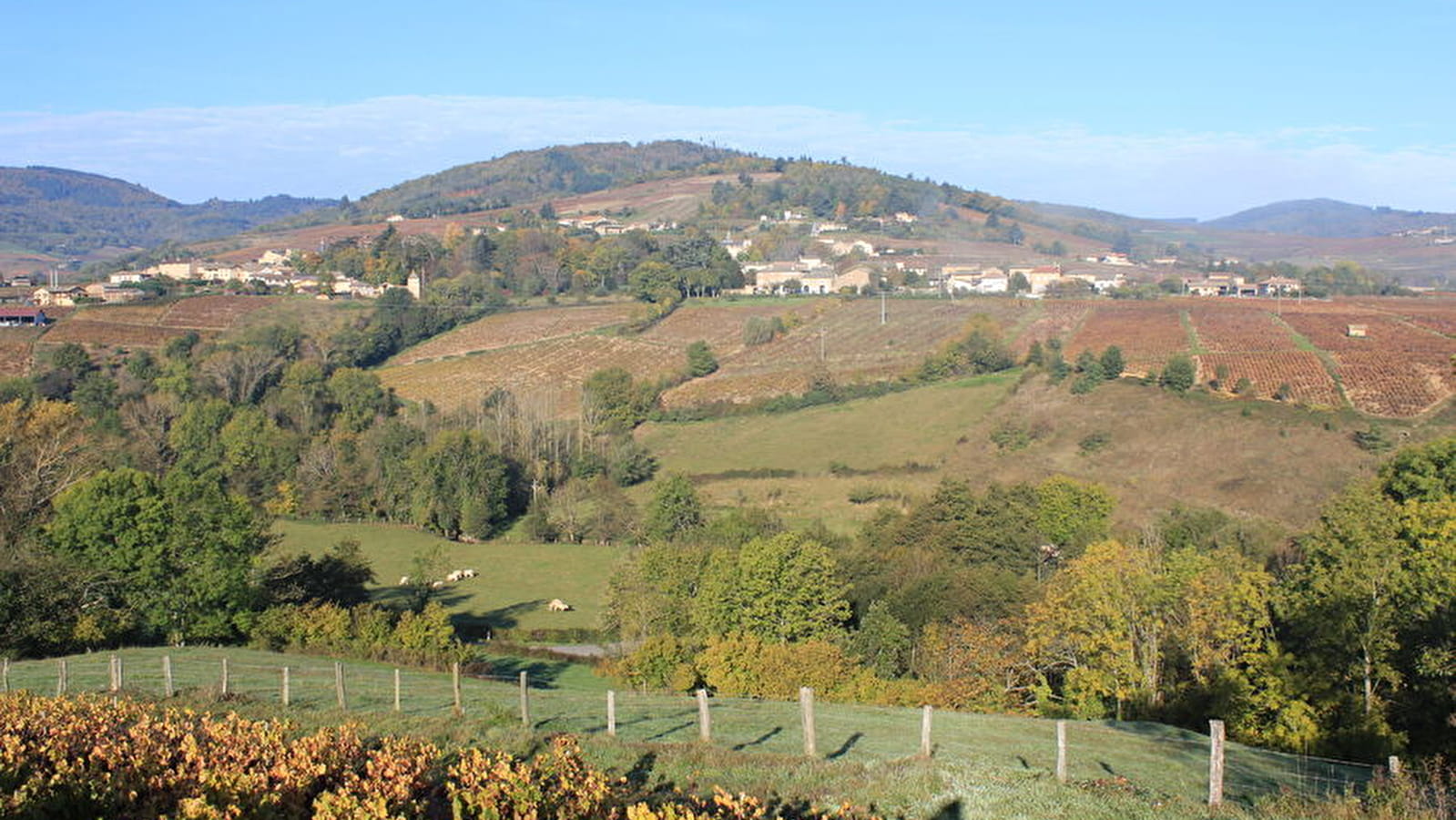 Le Beaujolais - Les coteaux du Beaujolais - Boucle 5.2