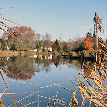 Parcours des Amis d'Harpignies - SAINT-PRIVE