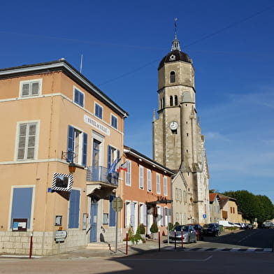 Boucle vélo loisirs de l'Ain à vélo : Les Sires de Bâgé