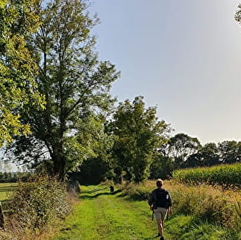 Circuit randonnée : les Platières - SAINT-ETIENNE-SUR-REYSSOUZE
