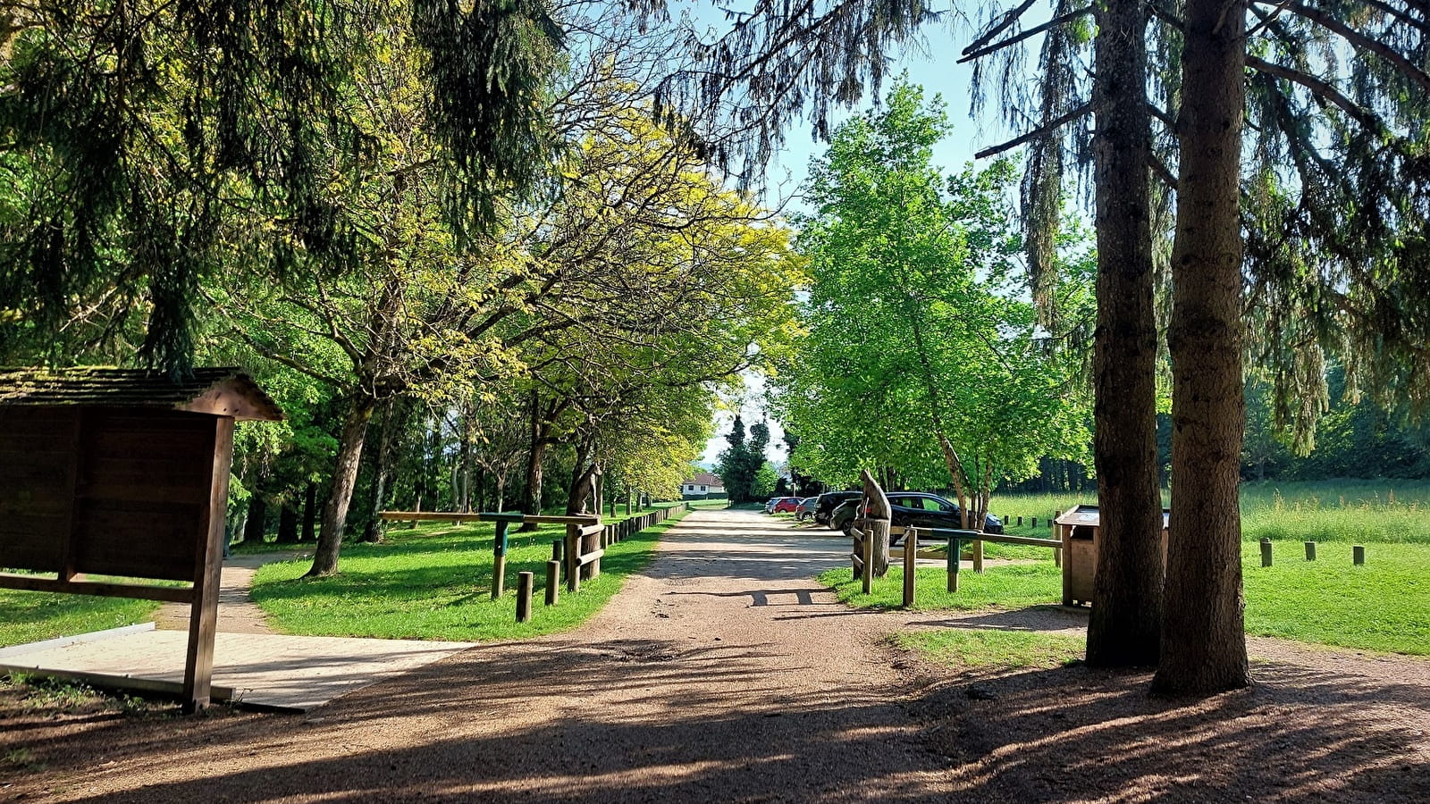 Parcours VTT 4 bleu - Le forêt de Rothonne - Espace FFC Ain Forestière