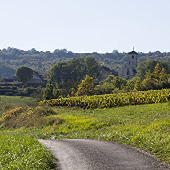 Chemin des Sources de l'Ouche - BLIGNY-SUR-OUCHE