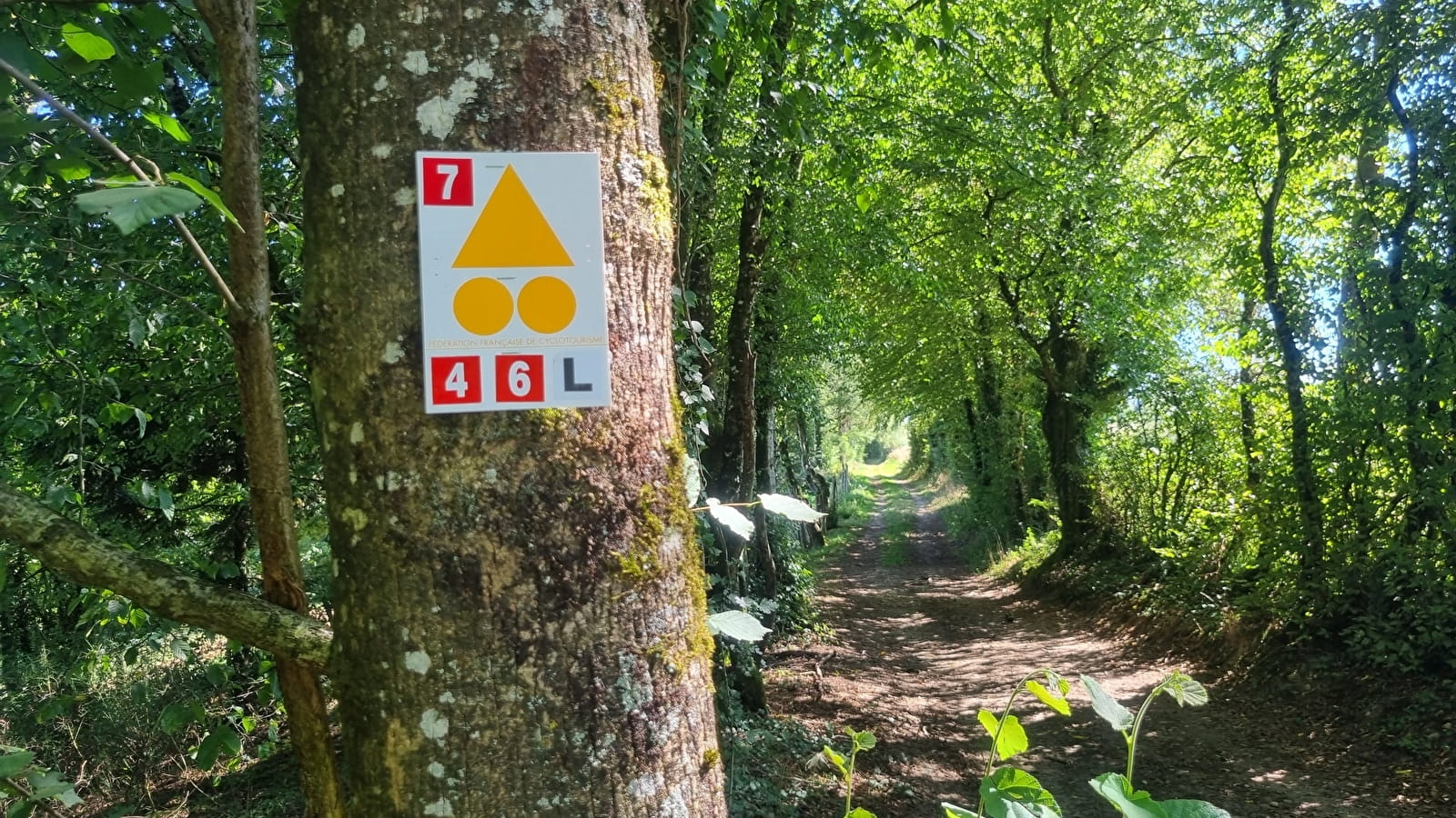 Circuit VTTAE n°6 (rouge) Chemins des bois de Bresse