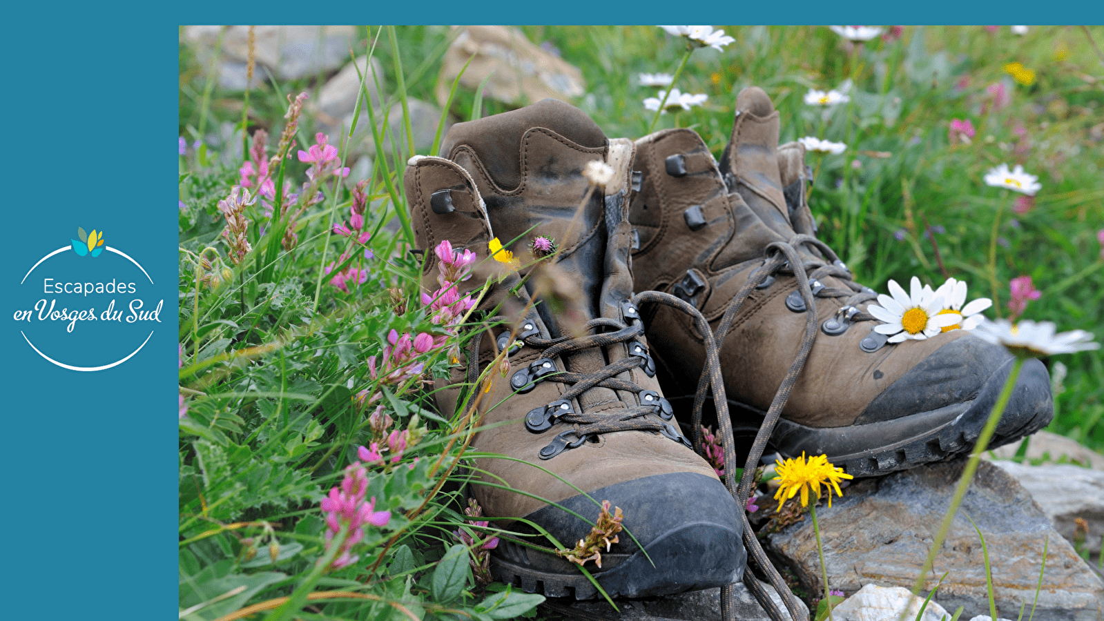 SENTIER DE LA BLANCHE PIERRE