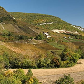 Caveau Grivet - BRIORD