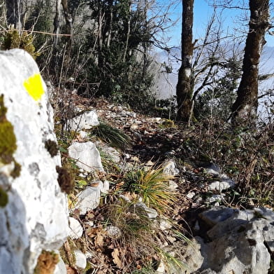 Falaise de Chatillon - Maquis de l'Ain, camp de Chalours