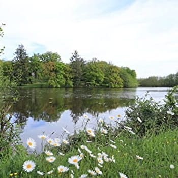Circuit de VTT de la vallée de la Colâtre - AZY-LE-VIF