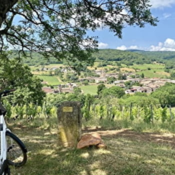CycloRoute71 - Etape 12 de Cluny à Mâcon - CLUNY