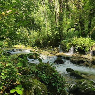 Le sentier 'au fil de l'eau'