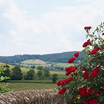 Randonner à Lucenay - LUCENAY-L'EVEQUE