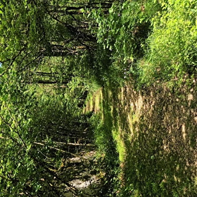 Éternoz - Vallée du Lison