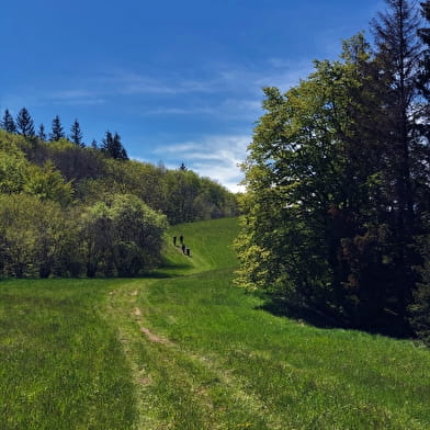 Sentier nature 'Sentier du Maquis de Retord'
