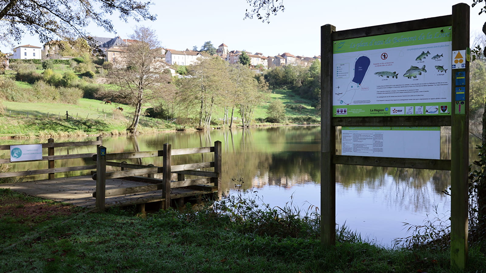 Itinéraire VTT : circuit 19 bleu, base Belmont-de-la-Loire