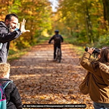 Balade en forêt domaniale de la Rena - LENT