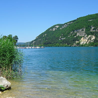 Parcours VTT 66 bleu - Forêt de Coléjard - Espace FFC Ain Forestière
